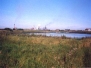 Coatham Marsh