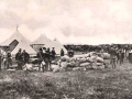 2869saltburncamp1909.jpg