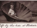 2178babyinshellredcar.jpg