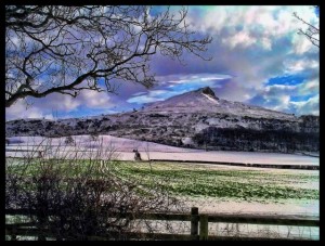 0032Roseberryinsnow20012012[1]